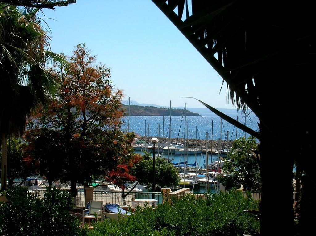 La Mimosa Guesthouse Πάλμα ντε Μαγιόρκα Εξωτερικό φωτογραφία
