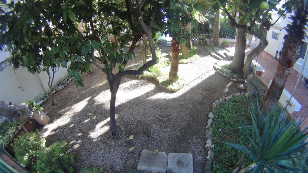 La Mimosa Guesthouse Πάλμα ντε Μαγιόρκα Εξωτερικό φωτογραφία